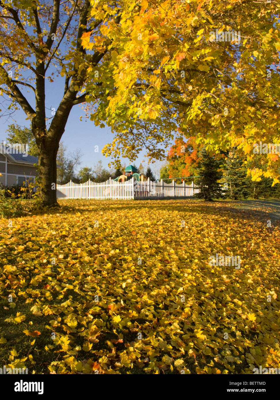 Autumn scene in NY State. Stock Photo