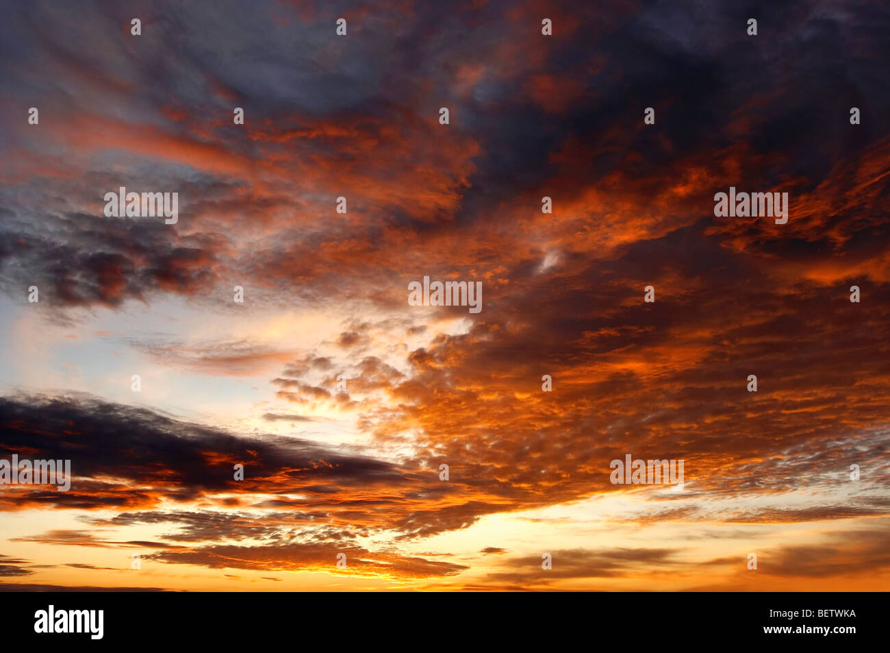 rosy sky - twilight Stock Photo