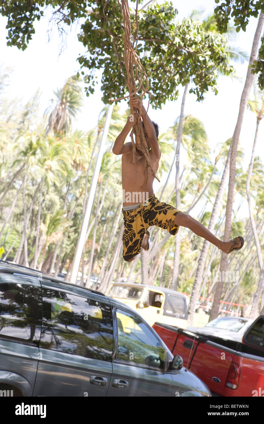 A boy swings over parked cars hanging on the vine  of a banyan tree, Honolulu, Hawaii Stock Photo