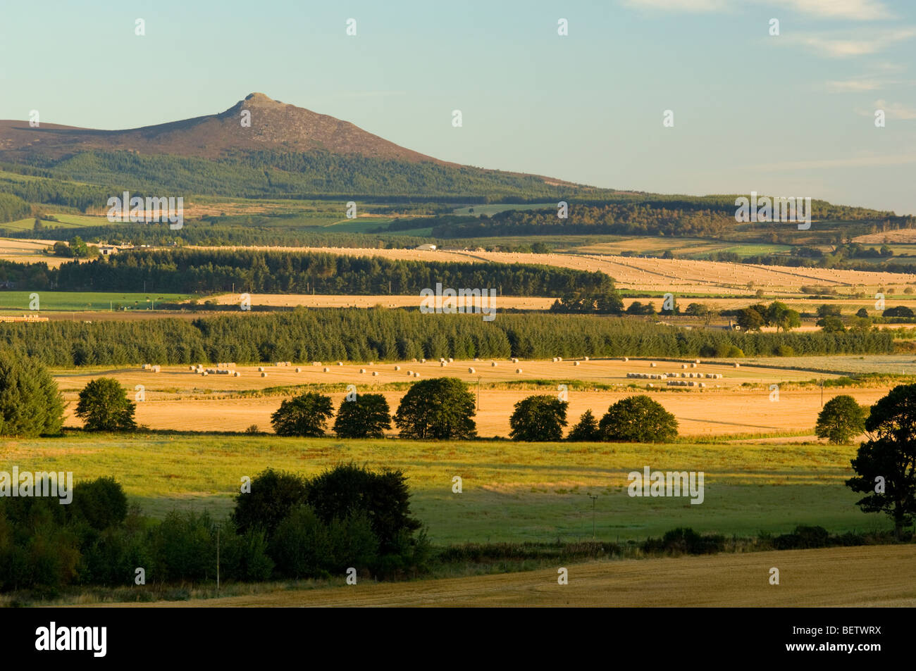 Bennachie hill, showing Mither Tap summit from the south, across farmland, Aberdeenshire. Stock Photo