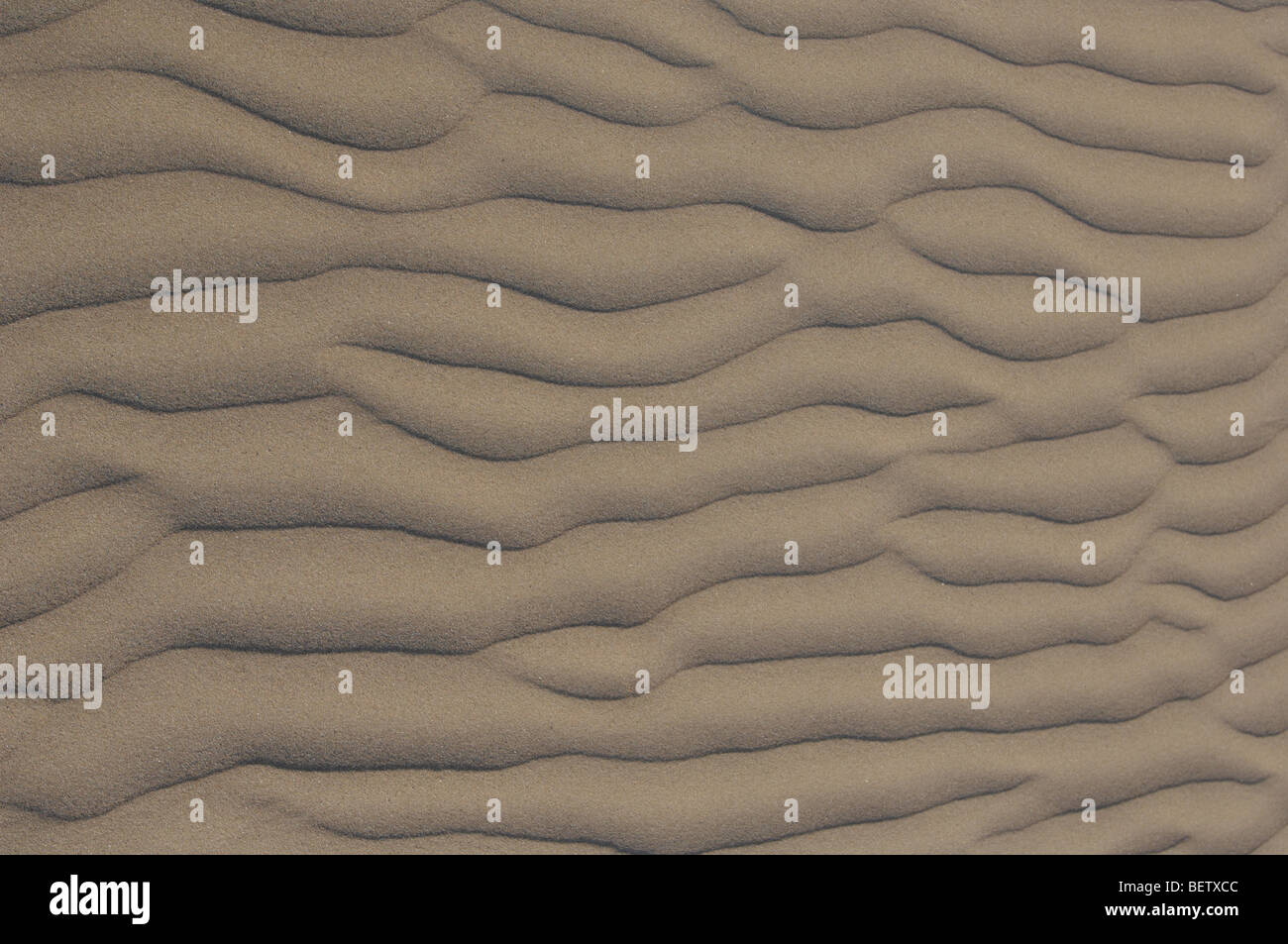 Sandy Ripple Ripple lines hi-res stock photography and images - Alamy