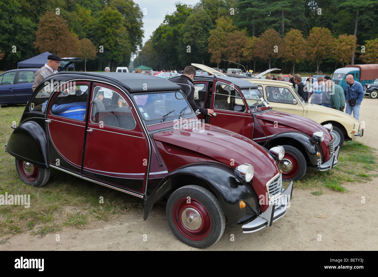 Place du Temple-Neuf in central Strasbourg vintage Citroen car driving  between cars – Stock Editorial Photo © ifeelstock #551629444
