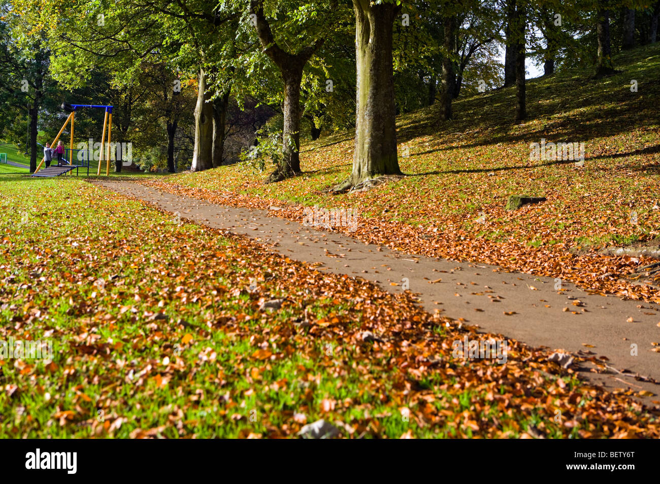 shallow focus image of autumn park scene Stock Photo