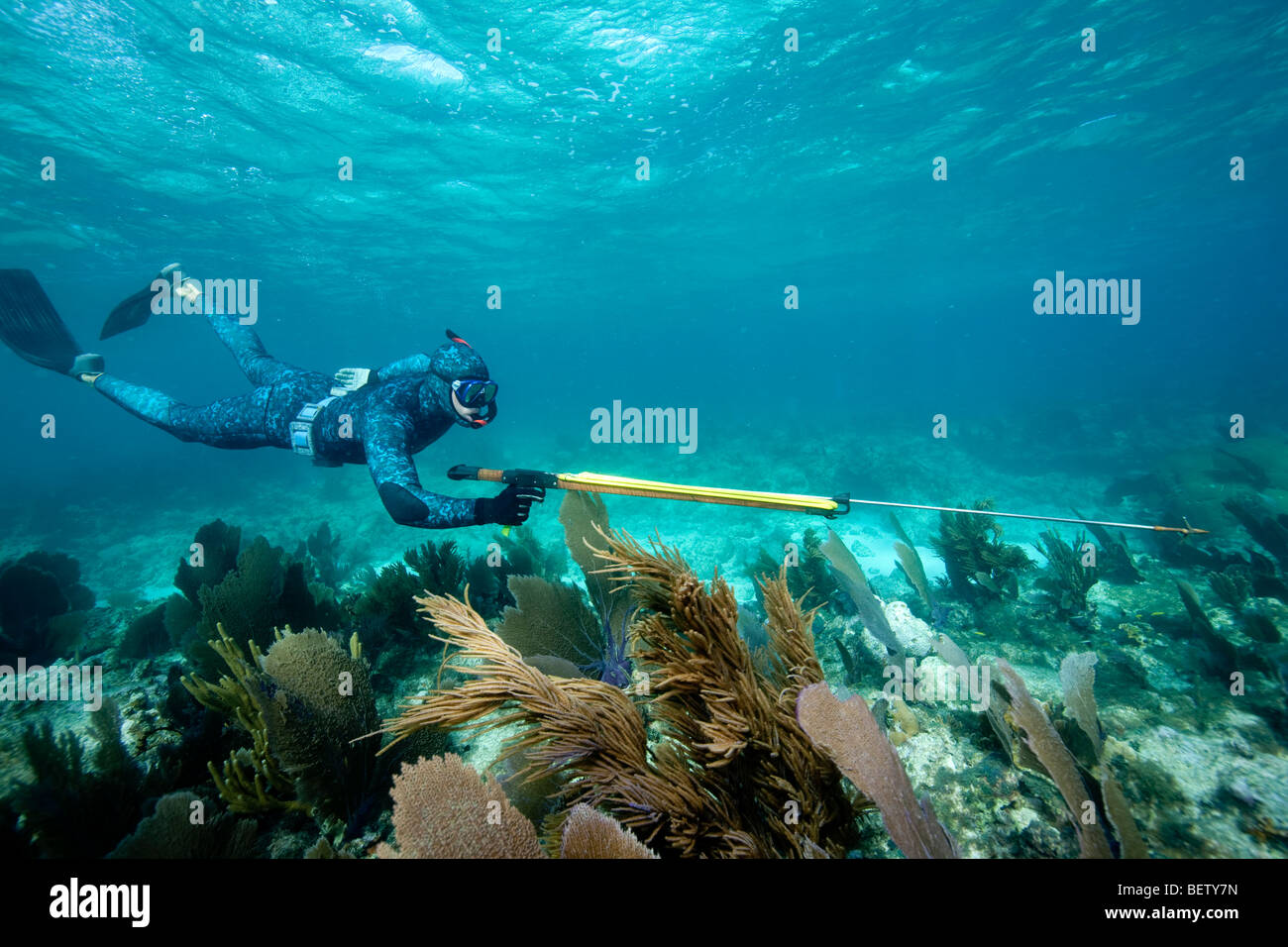 Spearfishing florida hires stock photography and images Alamy