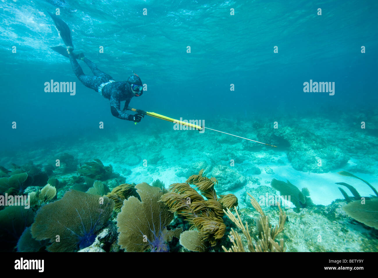 Лов дайв. Подводная охота. Подводная рыбалка. Рыбалка под водой. Фото подводной охоты на море.
