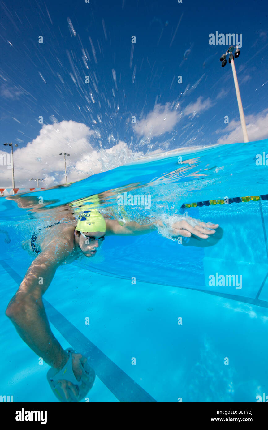 Training for swimming competition Stock Photo Alamy