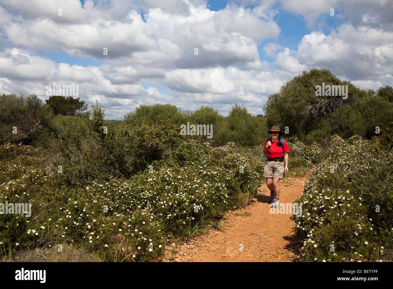 Woman hiking on footpath with wildflowers Mallorca Spain Stock Photo