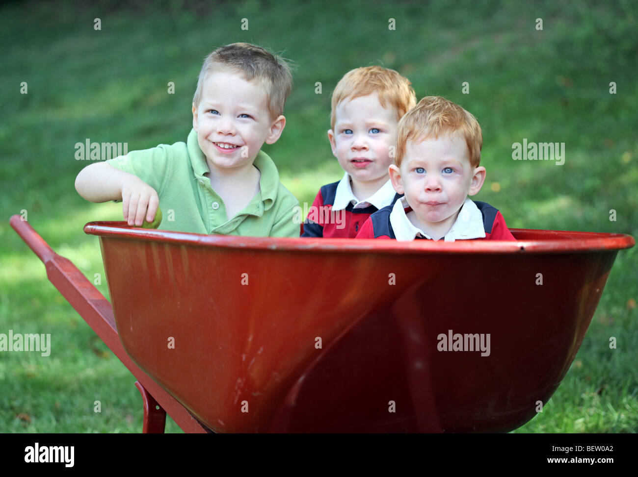 Three young brothers sitting in wheel barrow Stock Photo Alamy