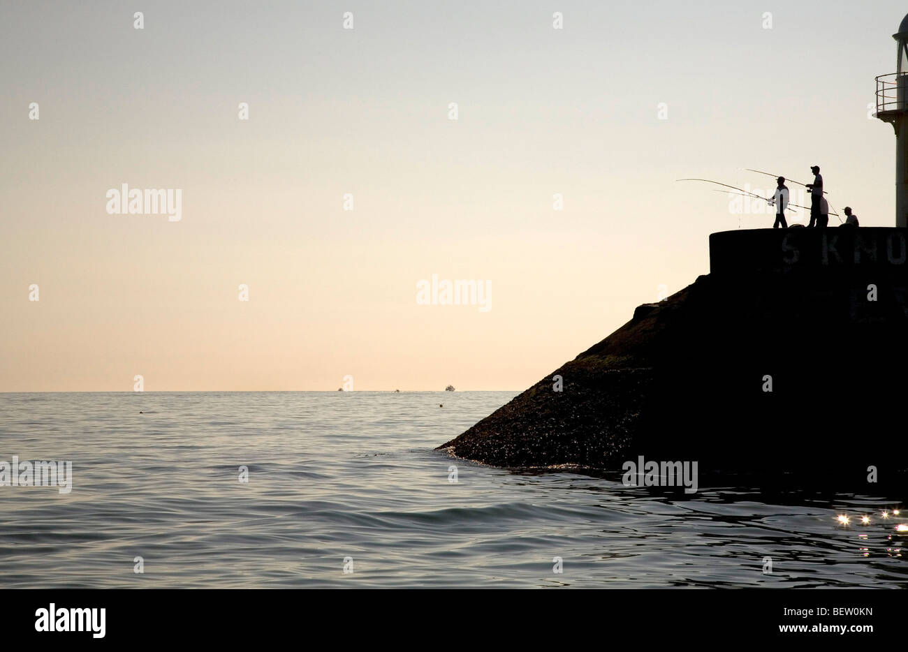 Fishing in Brixham Harbour Stock Photo Alamy