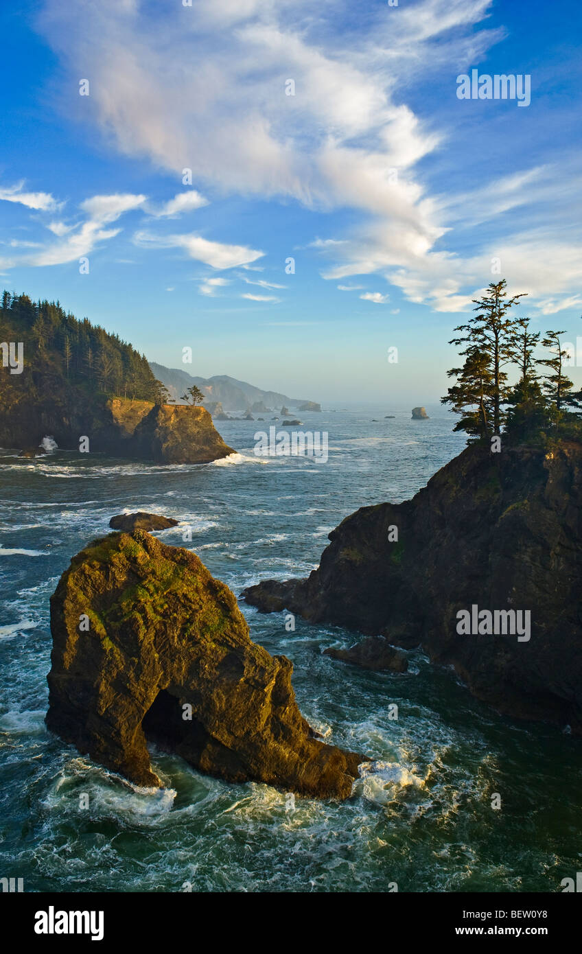 Oregon coast south of Natural Bridges Viewpoint, Samuel H. Boardman State Park. Stock Photo