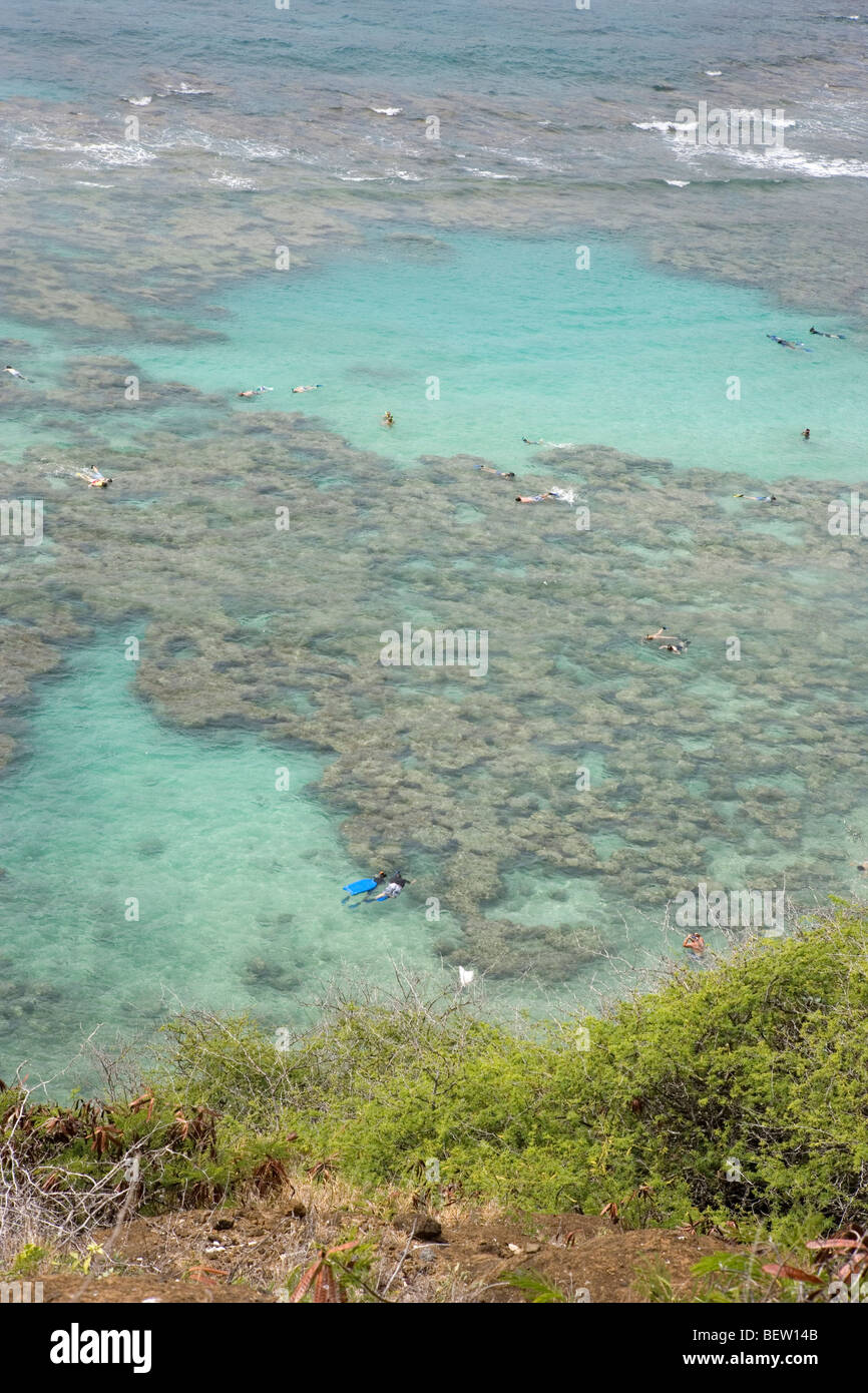 snorkelers at Hanauma Bay, Oahu, Hawaii Stock Photo