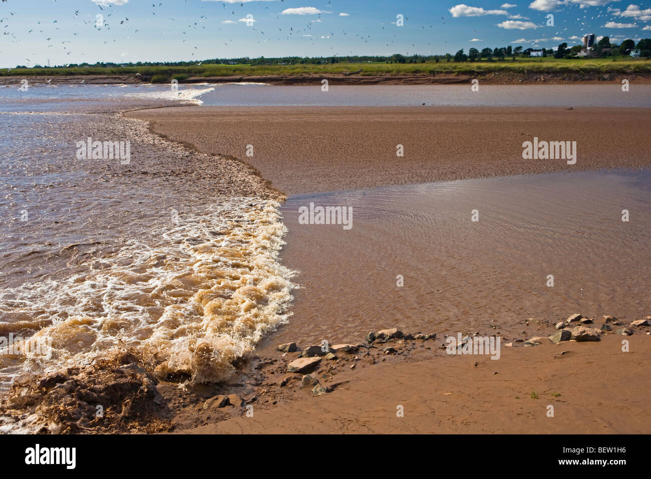 File:Bay of Fundy - Tide In.jpg - Wikimedia Commons