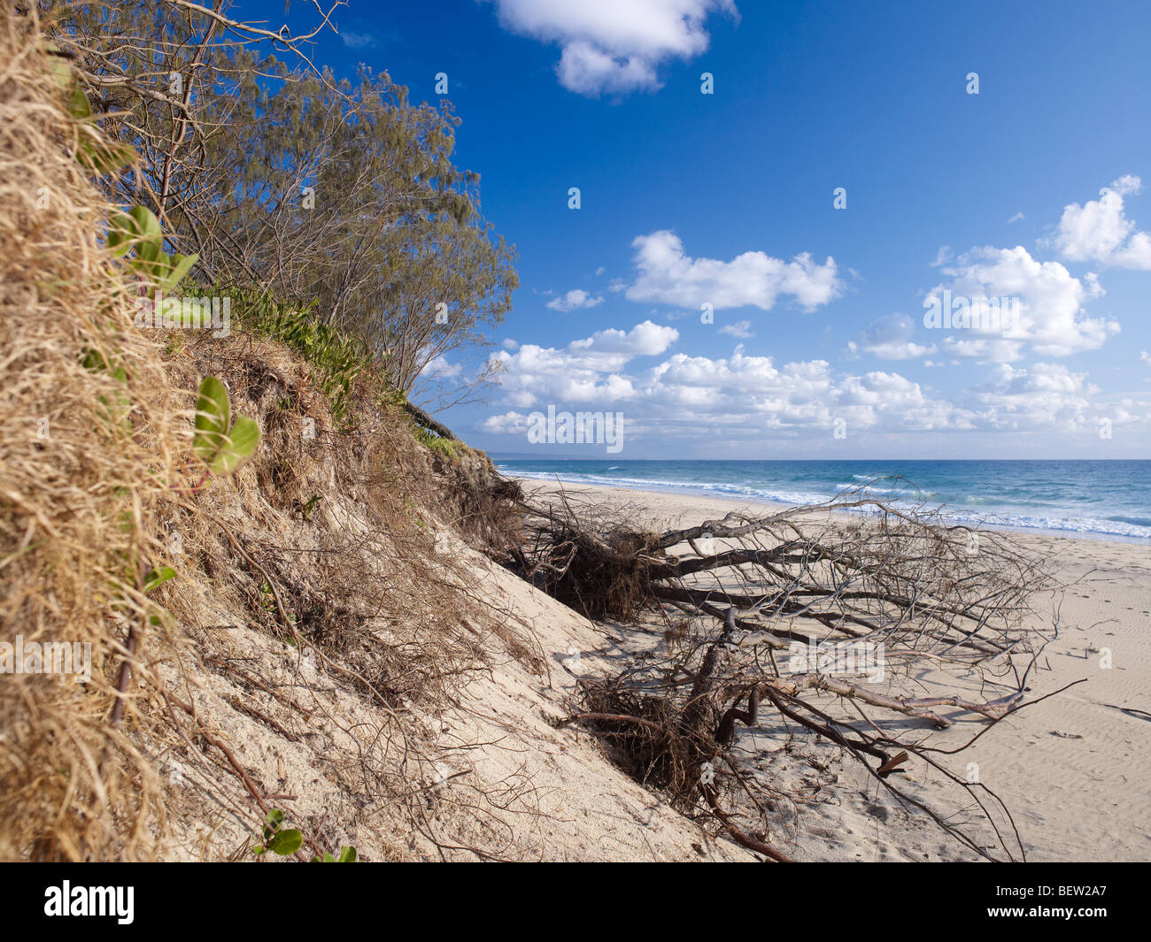 Beach erosion on Rainbow Beach Queensland Australia from rising sea levels Stock Photo Alamy
