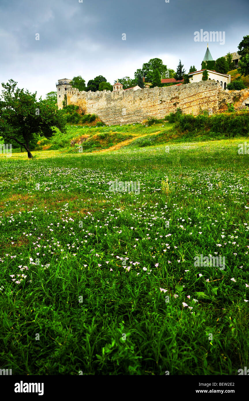 Kalemegdan fortress in Belgrade with field of wildflowers Stock Photo