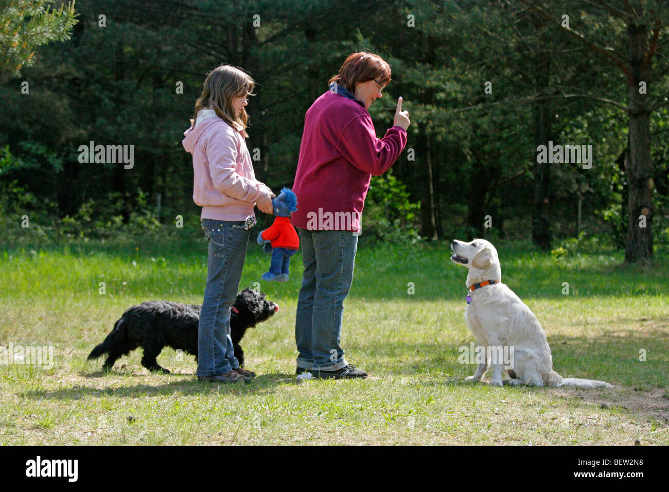 mother and daughter training their dogs Stock Photo Alamy