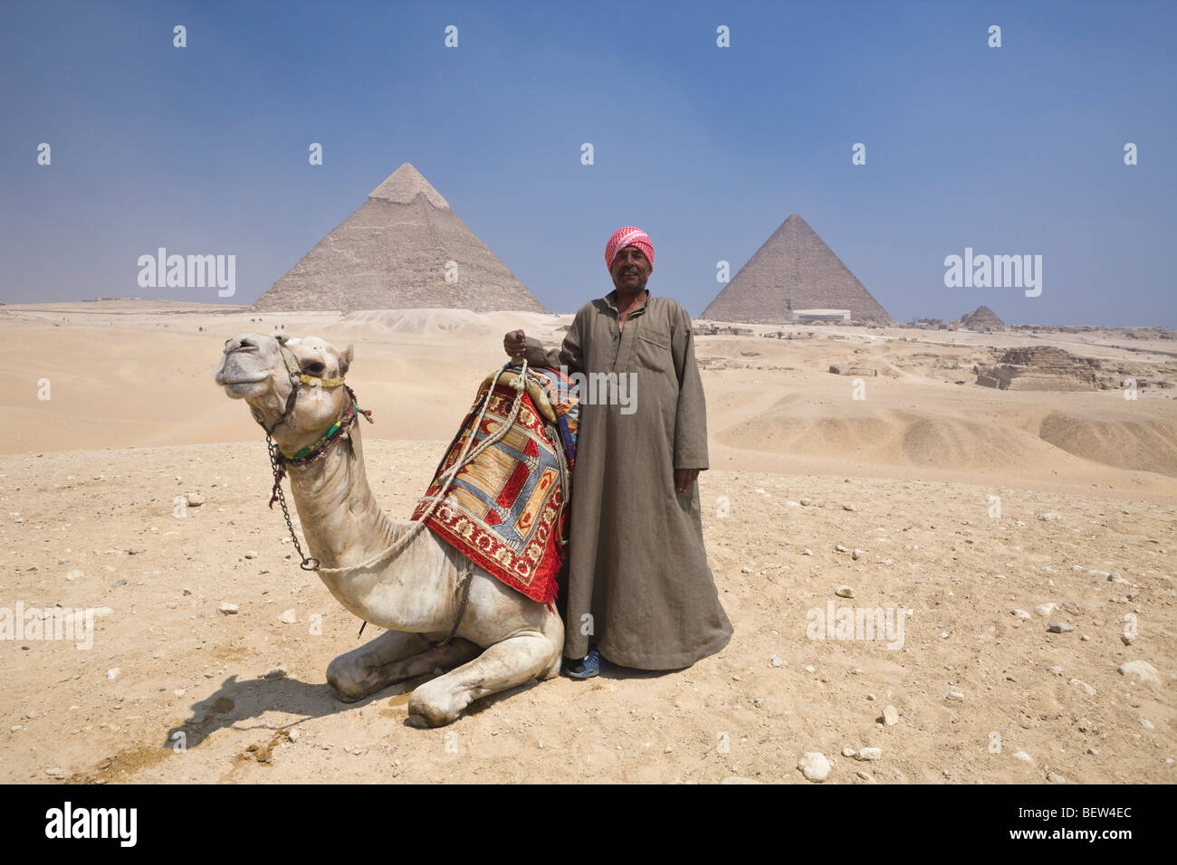 Camel Driver in Front of Pyramid of Gizeh, Cairo, Egypt Stock Photo