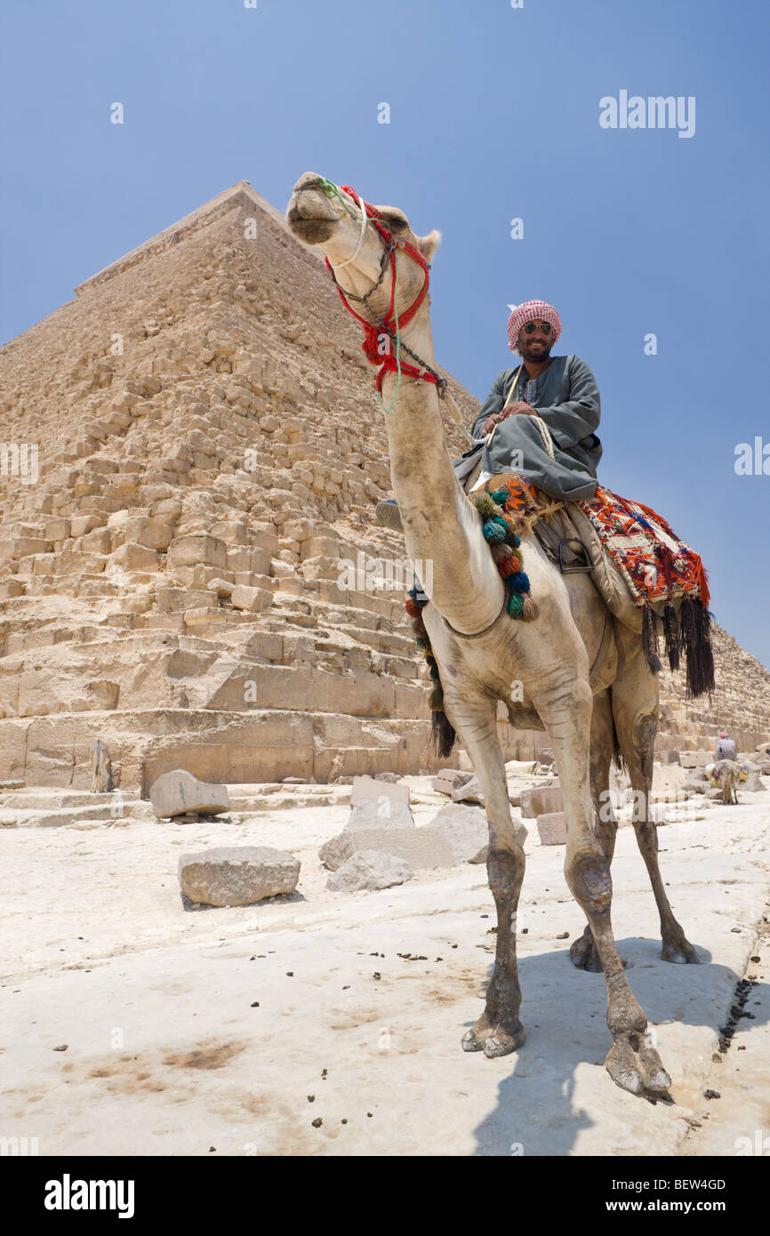 Camel Driver in Front of Pyramid of Khafra, Cairo, Egypt Stock Photo ...