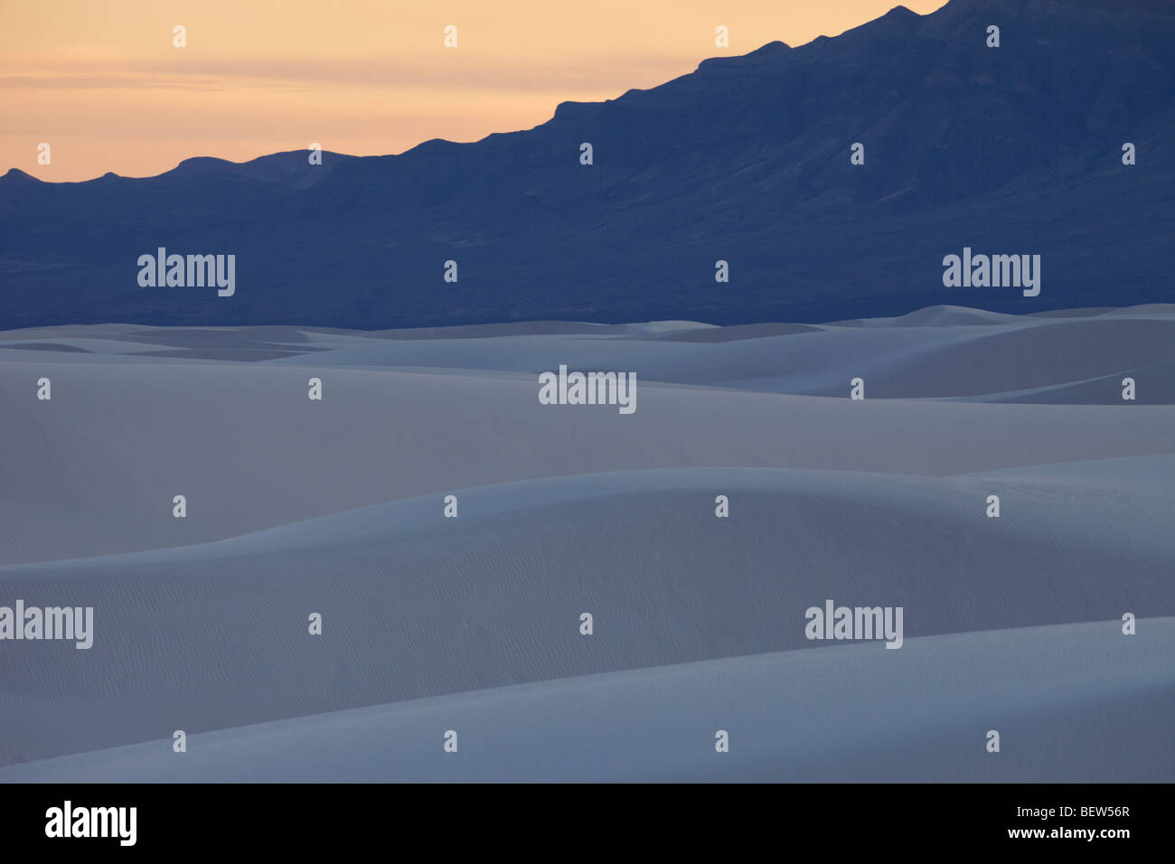 Sand dunes in desert, USA Stock Photo