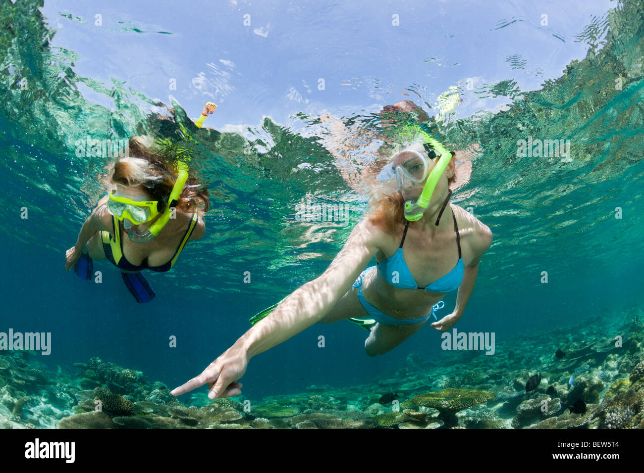 Skin Diving at Maldives, Ellaidhoo House Reef, North Ari Atoll