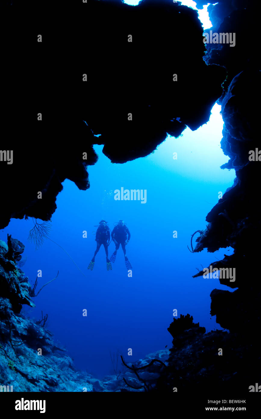 Scuba diver silhouettes diving hi-res stock photography and images - Alamy
