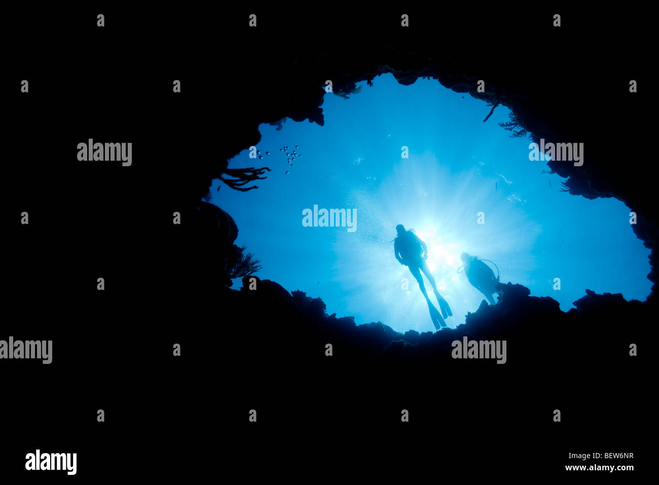 Silhouettes scuba divers diving hi-res stock photography and images - Alamy