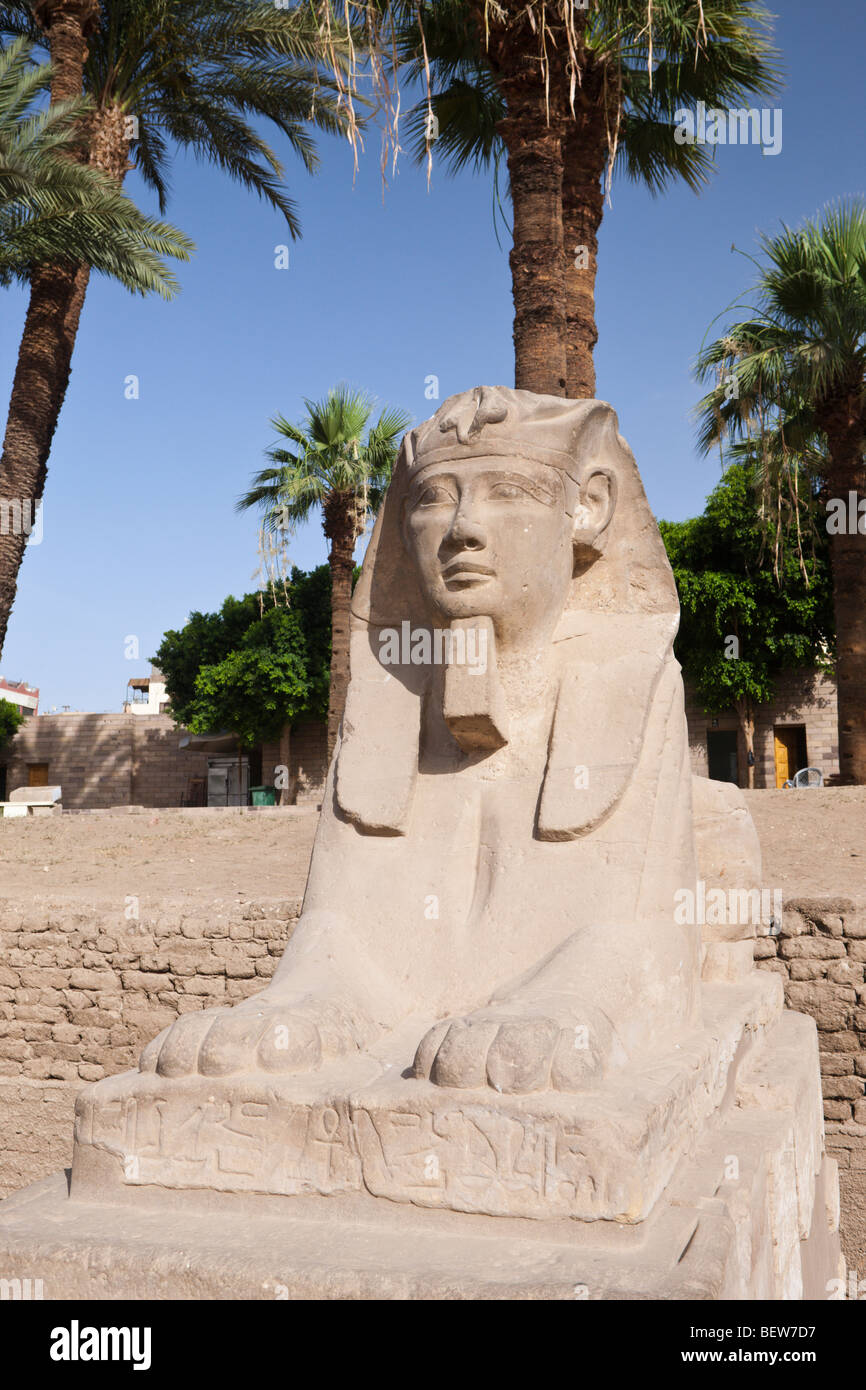 Sphinxes at Luxor Temple, Luxor, Egypt Stock Photo