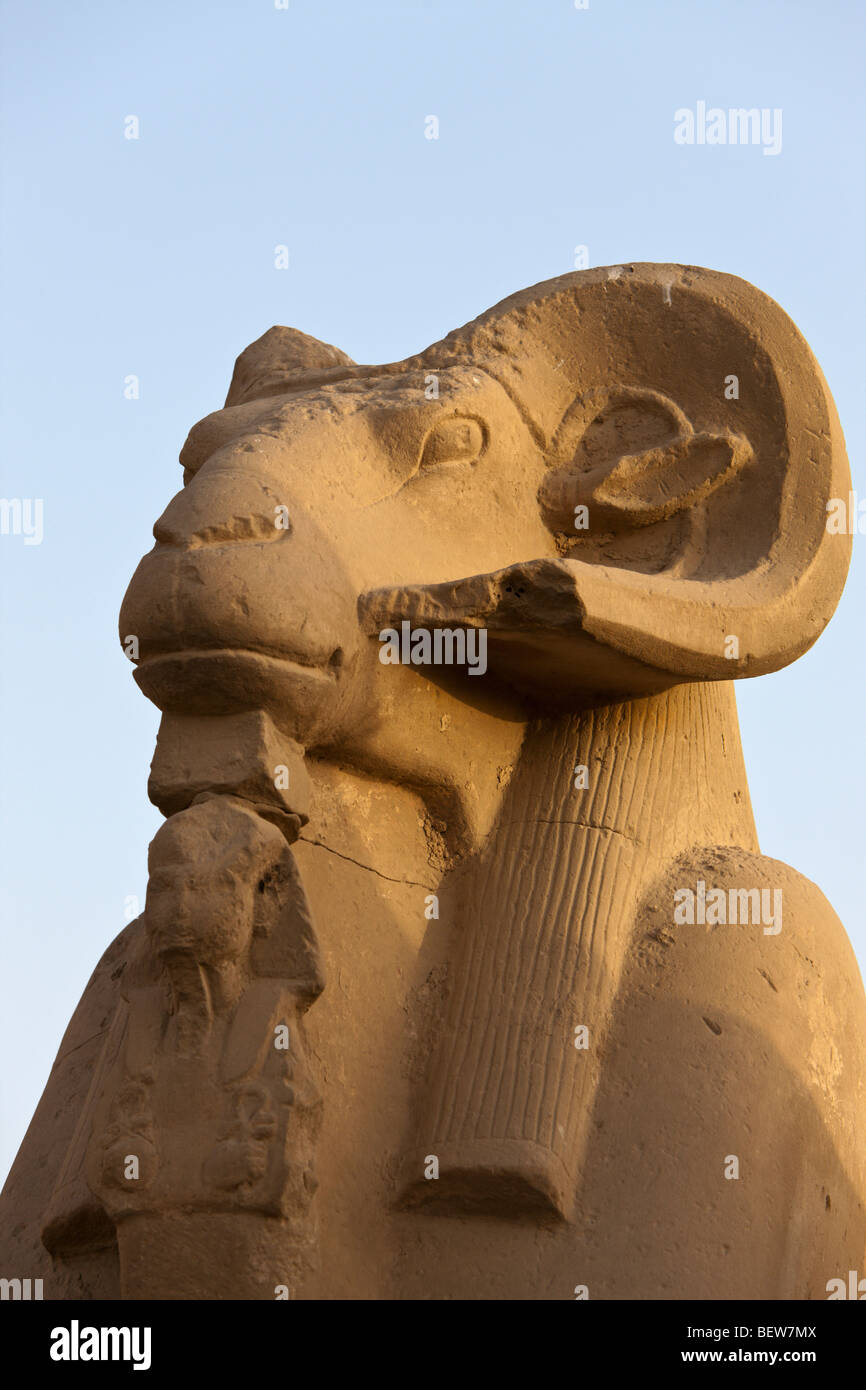 Row of Ram-headed Sphinxes at Karnak Temple, Luxor, Egypt Stock Photo