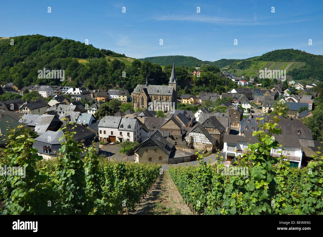 View from vineyard to Dhron with church, Rhineland-Palatinate, Germany Stock Photo