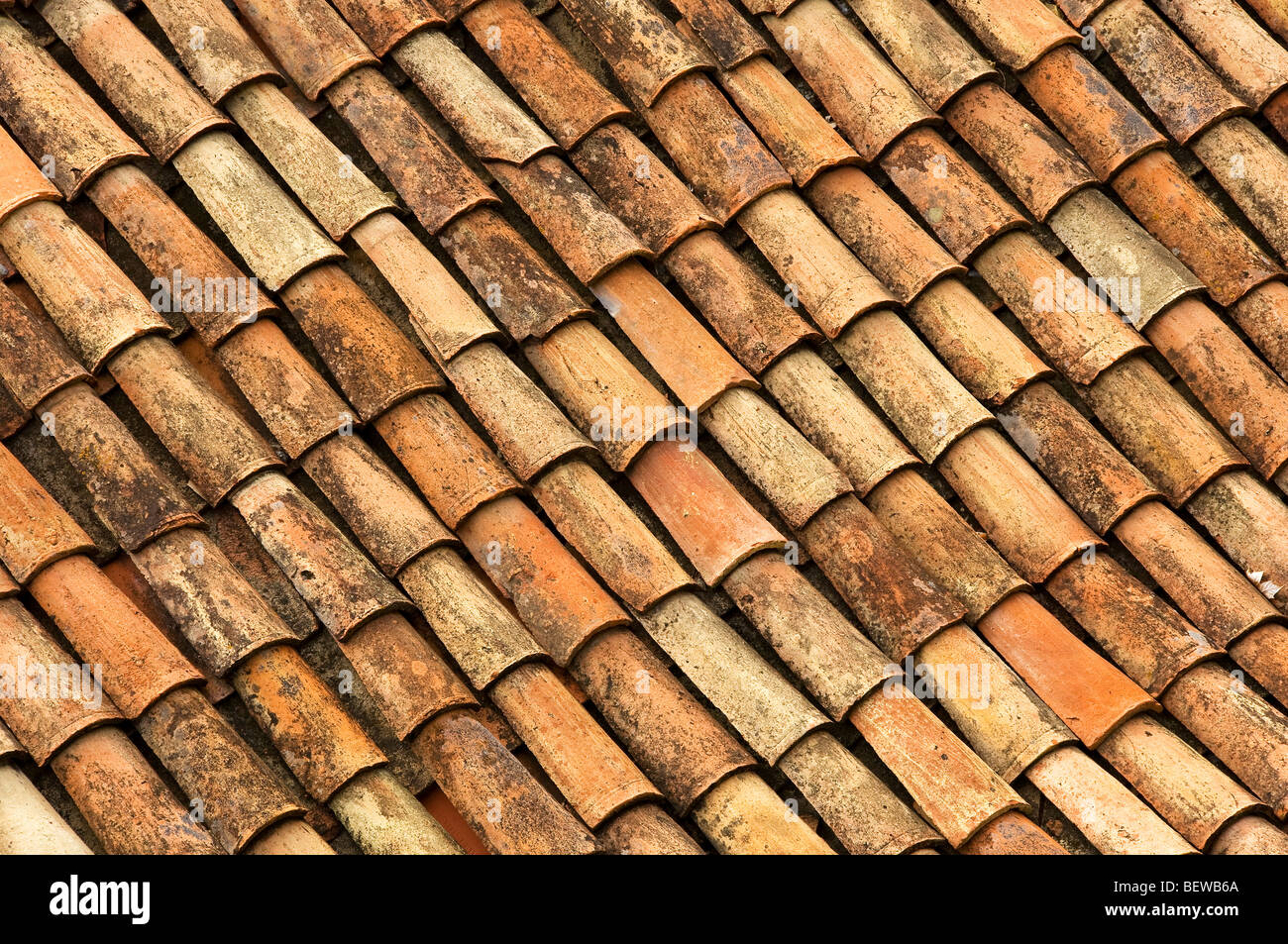 Close up of detail view of traditional clay roof tiles Madeira Portugal