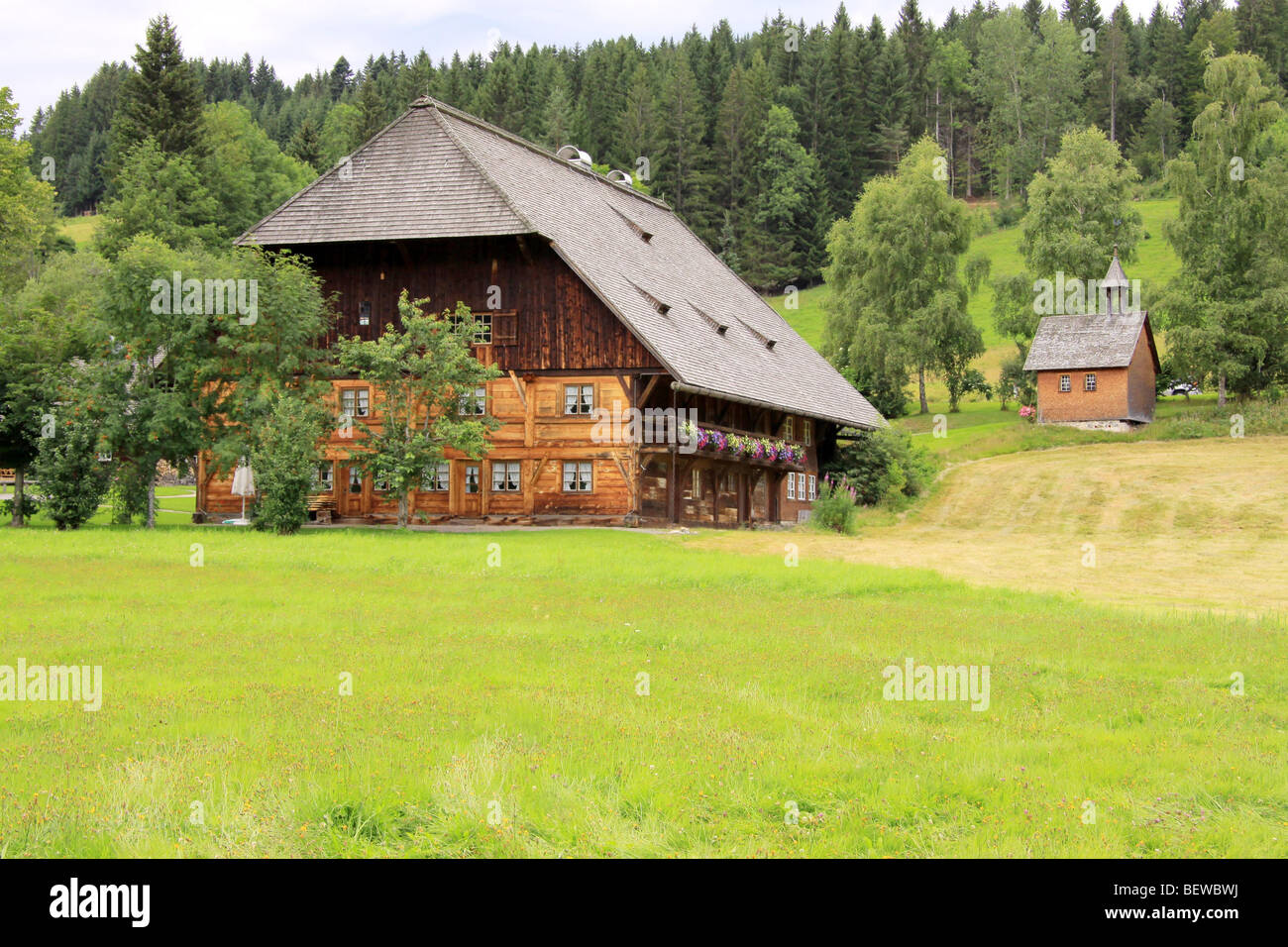 Estate at Lake Titisee, Black Forest, Baden-Wurttemburg, Deutschland Stock Photo