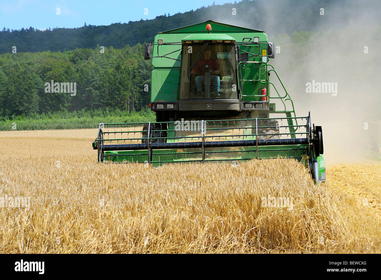Combine harvester in corn field, Spessart, Bavaria, Germany, front view Stock Photo
