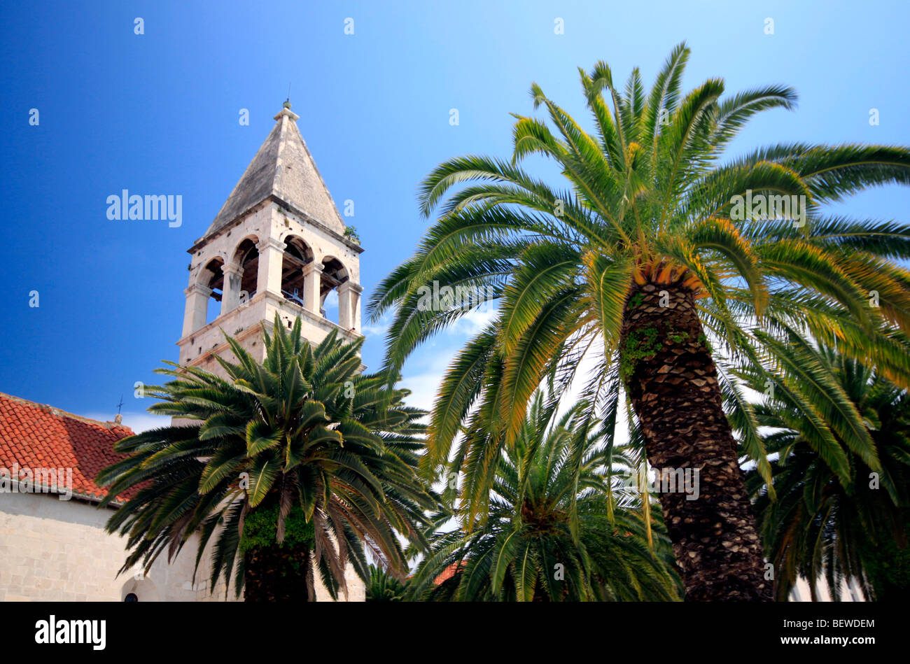 Palm trees in front of church spire of Sveti Nikola Monastery, Trogir, Croatia, low angle view Stock Photo