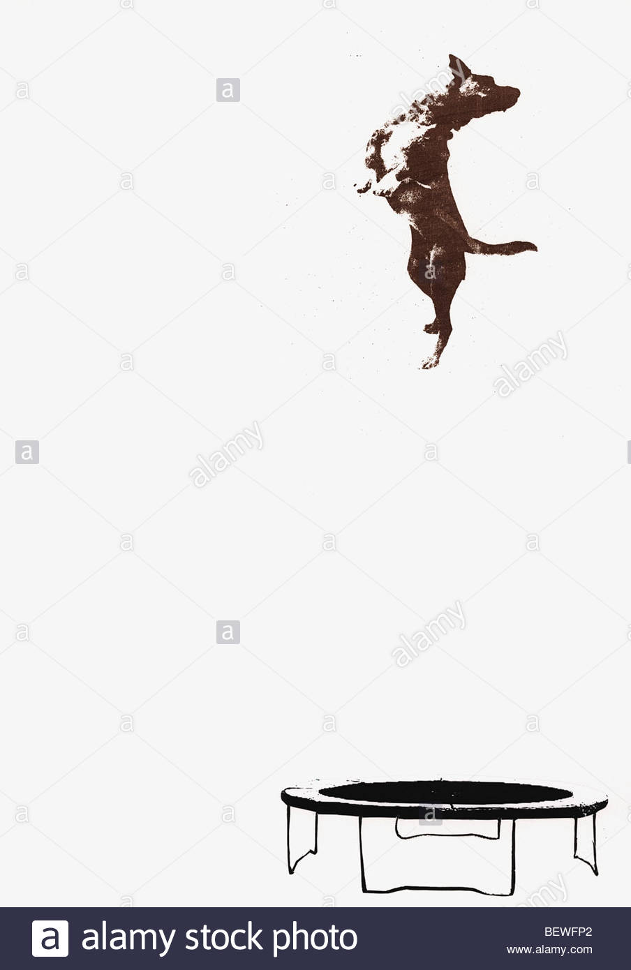 Pets Stock Photos & Images, Pets Stock Photography Alamy