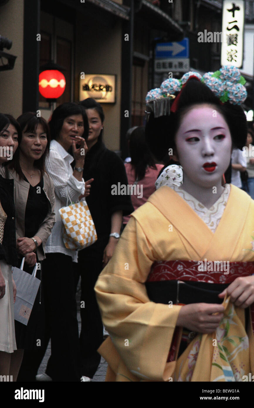 admiration for the Geisha Stock Photo
