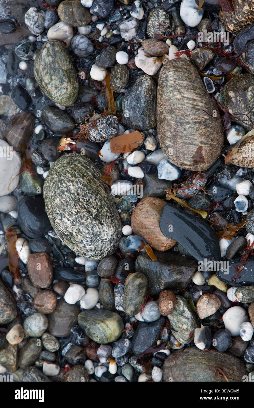 Stones and Pebbles on the beach at the Lizard Peninsular, Cornwall, South West England Stock Photo