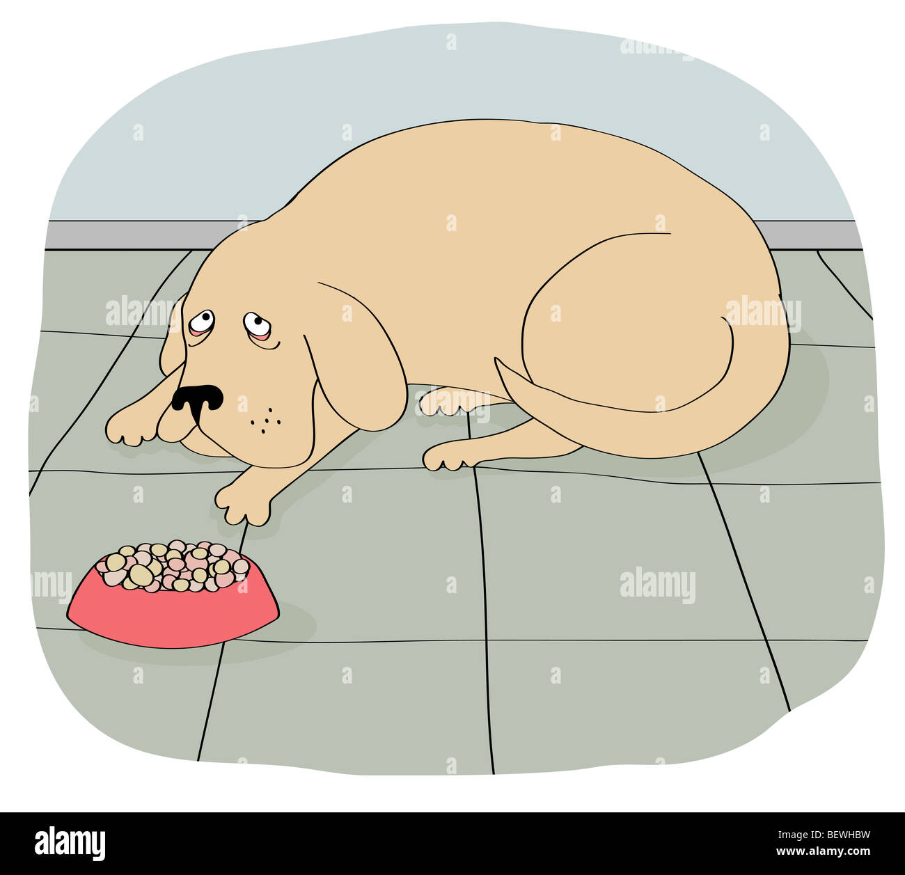 What Do You Feed A Pregnant Dog That Wont Eat