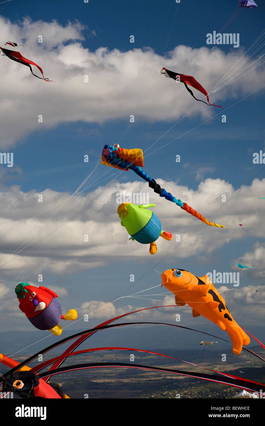 Kites at the time of the "Cervolix" Air Festival (Auvergne - France). Cerfs-volants lors du festival aérien "Cervolix" (France). Stock Photo