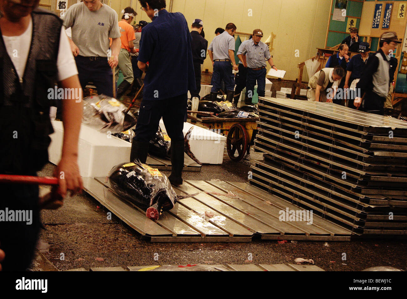 Tsukiji fish market in action Stock Photo