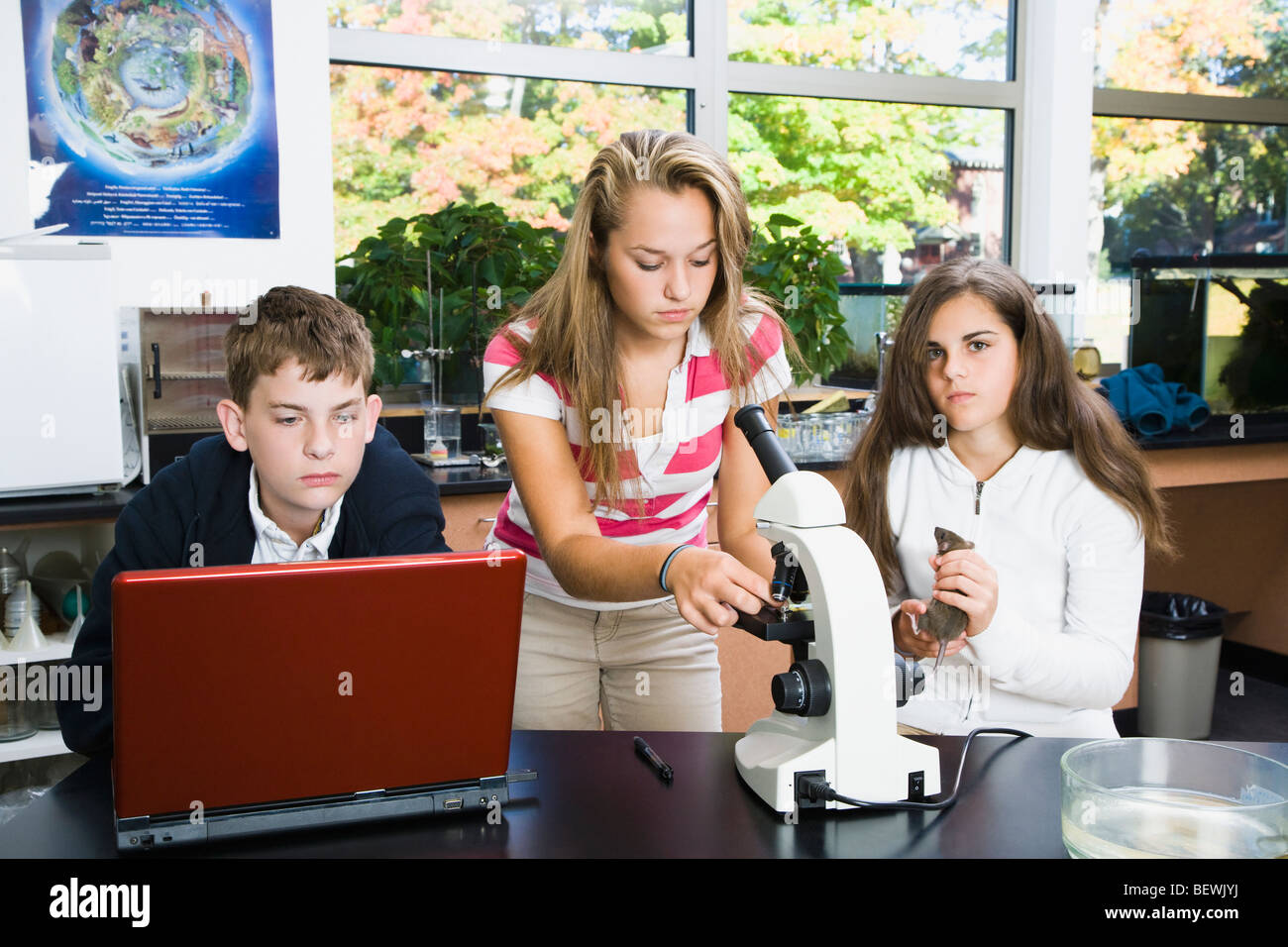 Students doing scientific experiment in a laboratory Stock Photo