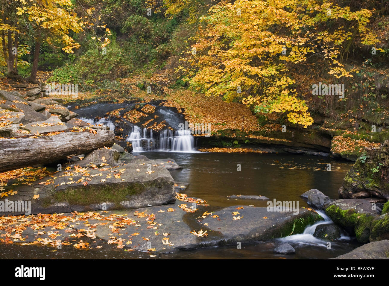 Water flowing through rocks, Lake Creek, Jackson County, Oregon, USA ...