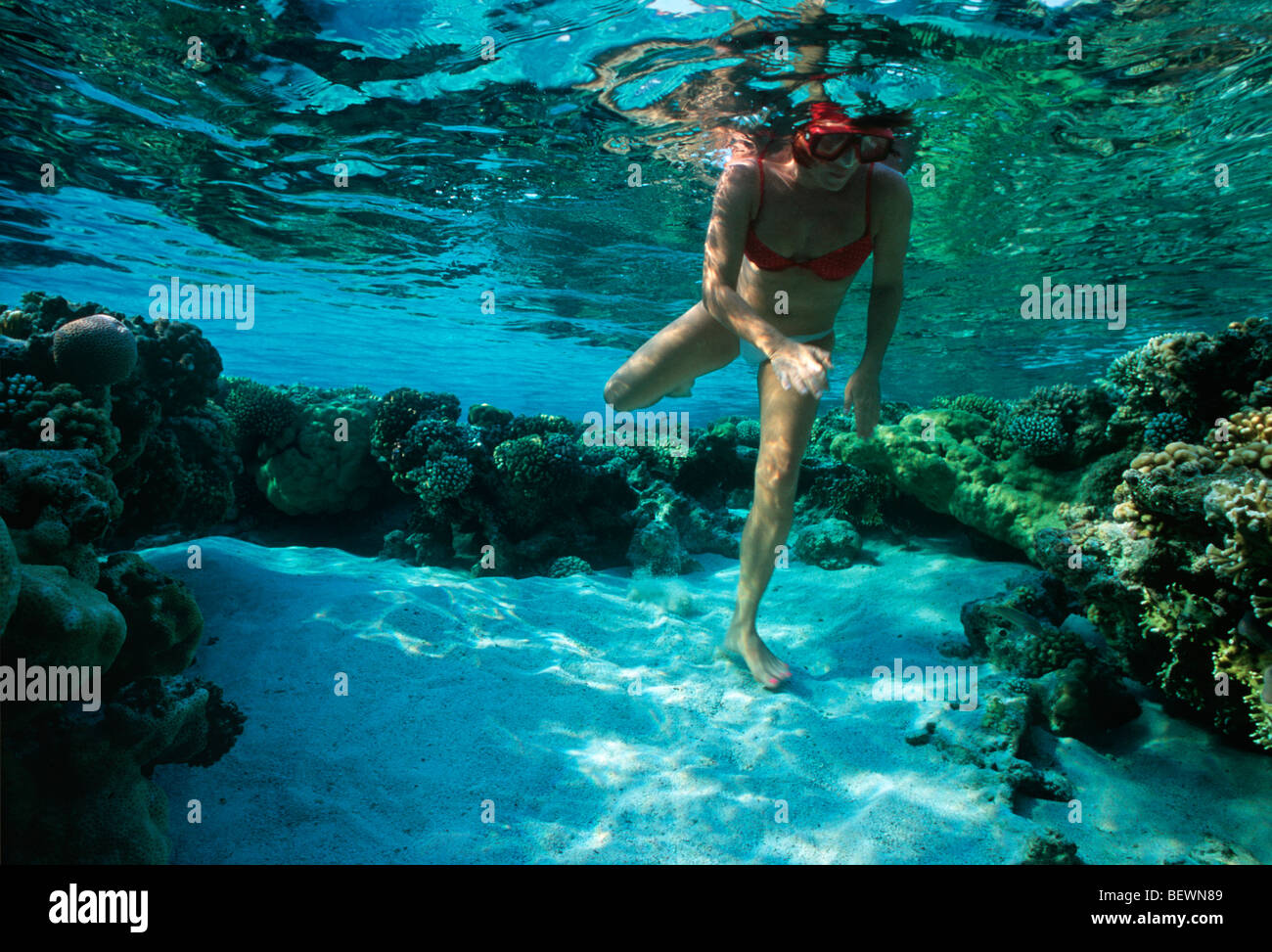 Free diver explores coral reef. Sinai, Egypt - Red Sea Stock Photo