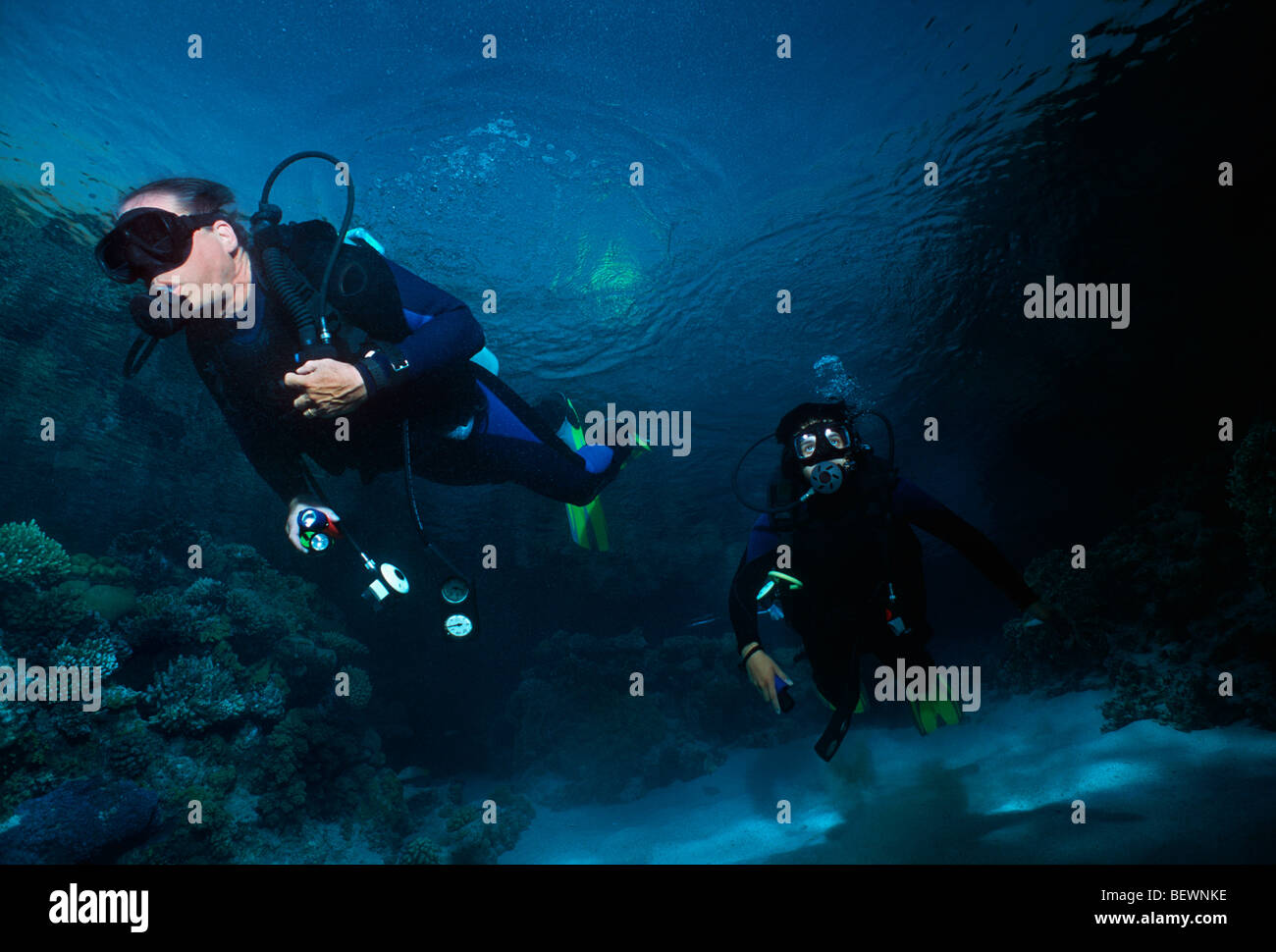 Scuba diving at sunset. Sinai, Egypt Red Sea Stock Photo Alamy