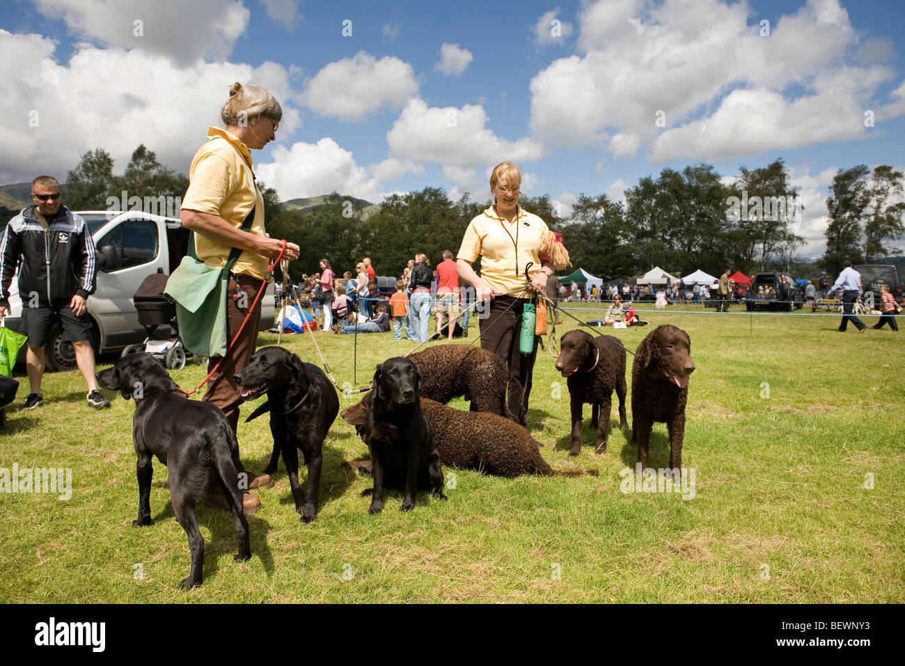 Two members of the Muncaster Gundog Team with their dogs at the Coniston Country Fair Stock Photo