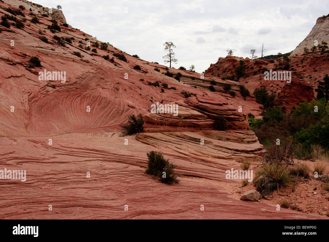 Hillside erosion hi-res stock photography and images - Alamy