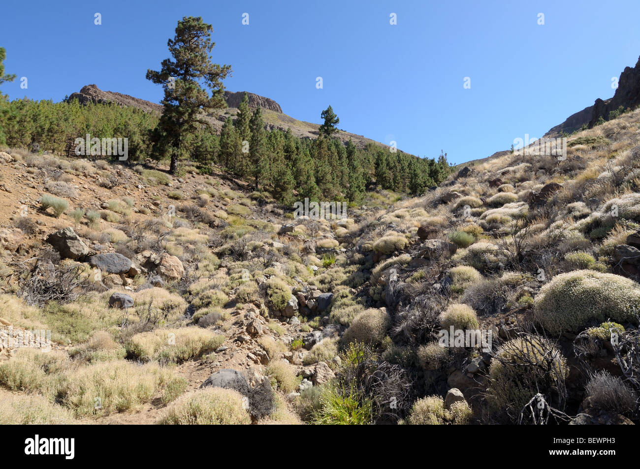 Landscape in Teide National Park, Tenerife Spain Stock Photo