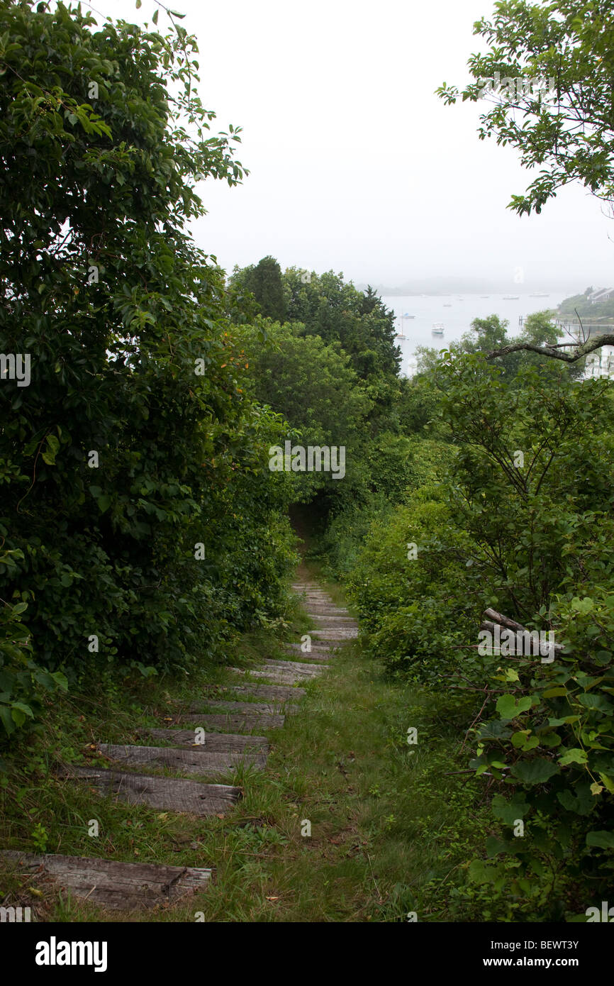 path to water Martha's Vineyard Stock Photo Alamy
