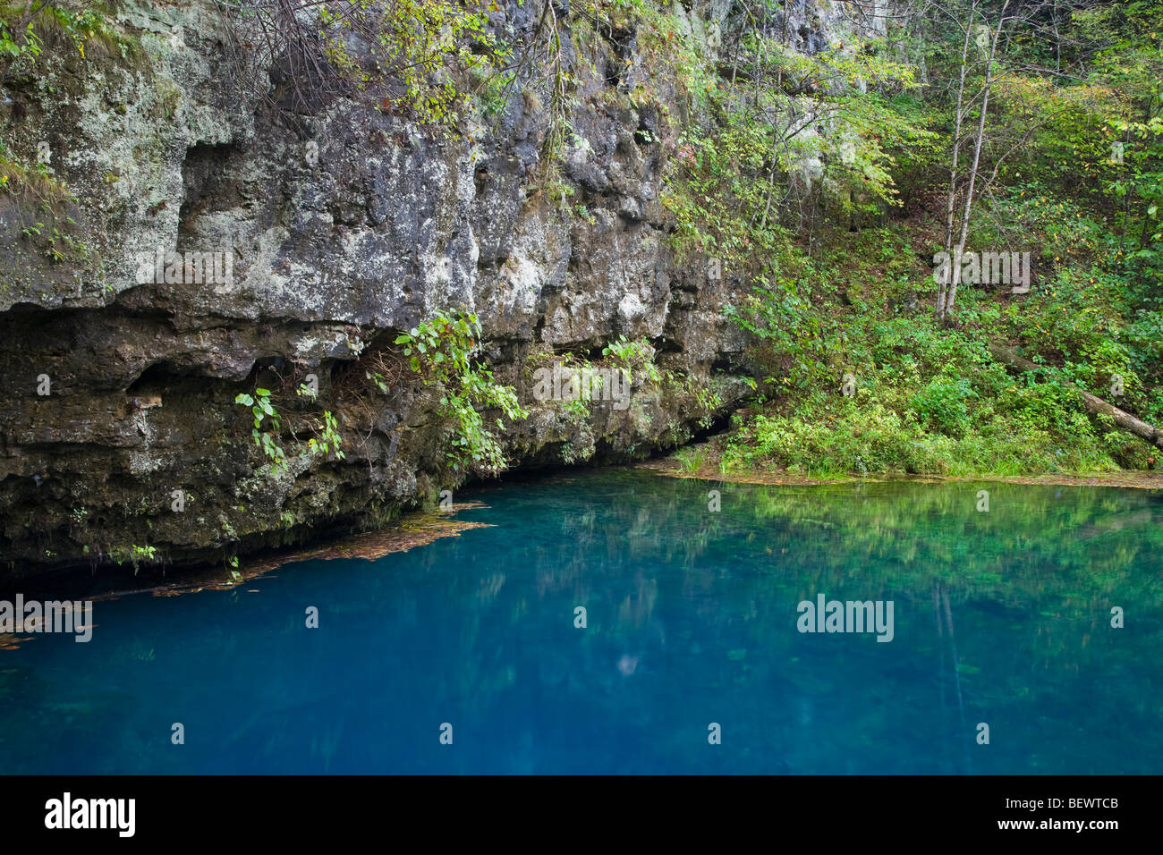 Blue Spring (on the Current River), Blue Spring Natural Area, Ozark National Scenic Riverways, Missouri Stock Photo