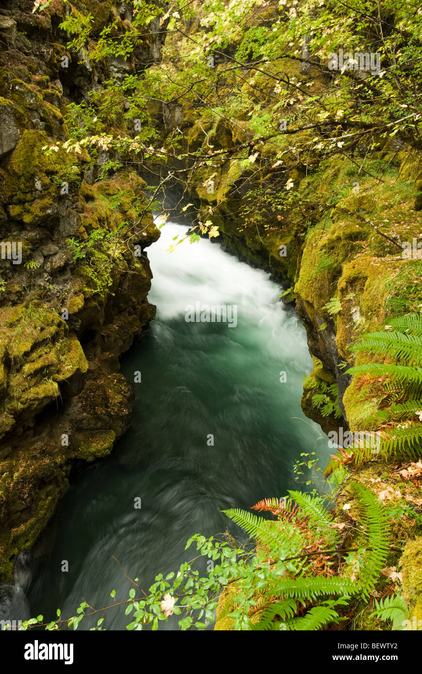 The Rogue River from the Rogue Gorge Interpretive trail, Oregon. Stock Photo