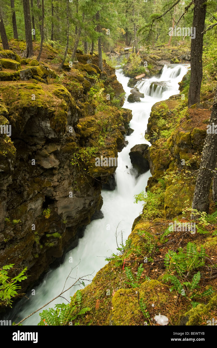 The Rogue River from the Rogue Gorge Interpretive trail, Oregon. Stock Photo