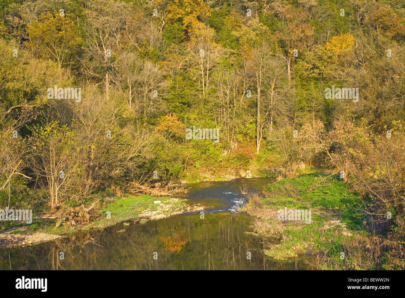 Bear Creek a trout stream at Quandahl, near Decorah, Iowa, USA Stock Photo